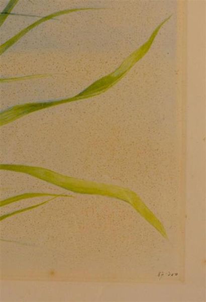 D'après Léon DANCHIN (1887-1938)
