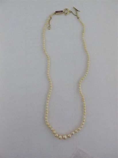 Collier de cent-onze perles de culture ou...