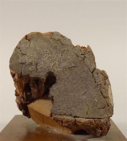 Fragment de visage d'homme d'époque gothique,...