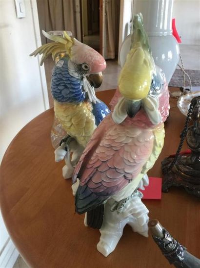 GERMANY. 4 perroquets en porcelaine poly...