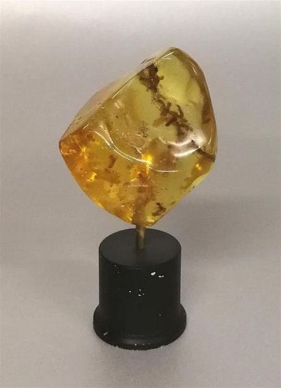Bloc d'ambre jeune ou copal présentant différentes...
