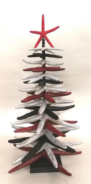 Assemblages de différentes Etoile de mer...