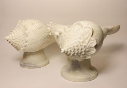 Paire de vases coquillages en marbre blanc.
Haut....