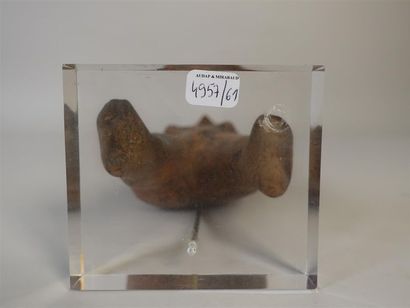 MEXIQUE, Nayarit - 200 av.-200 après J.C.
Statuette...
