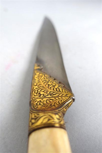 INDE du Nord ou IRAN - XIXe siècle
Couteau,...