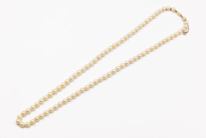 Collier choker composé de perles de culture.
Fermoir...