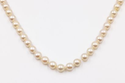 Sautoir composé de perles de culture choker,...
