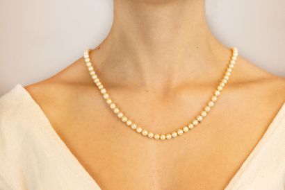 Collier choker composé de perles de culture.
Fermoir...