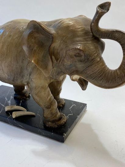 Jules DAUMISSE

Terracotta elephant on a...