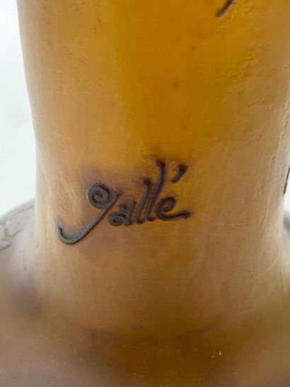 Émile GALLÉ (1846-1904)

Grand vase soliflore...