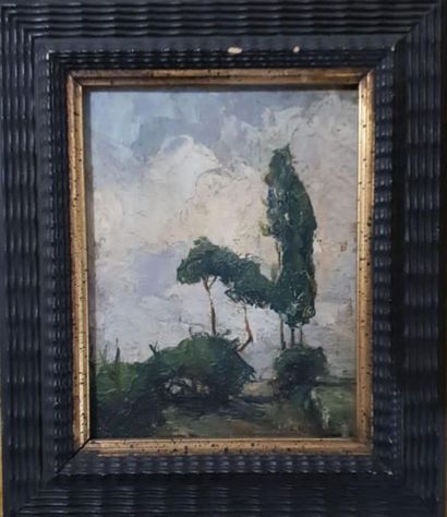 Cesare BISCARRA (1866-1943)

Paysage en campagne

Huile...