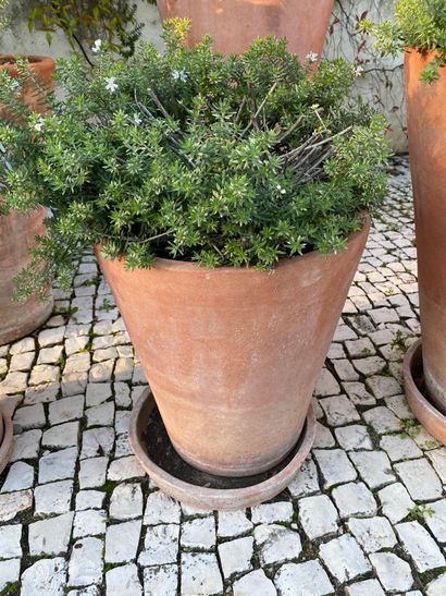 Terra cotta garden pot and its bottom, brand...
