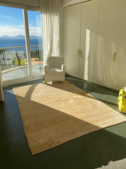 Modern carpet in beige wool
173 x 250 cm...