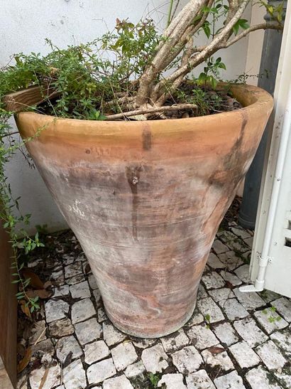 Set of three terracotta garden pots
With...