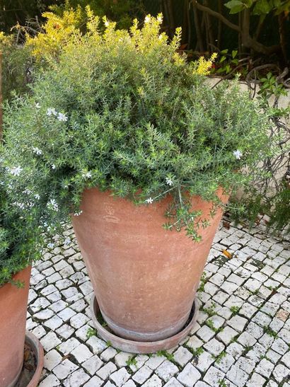 Terra cotta garden pot and its bottom, brand...