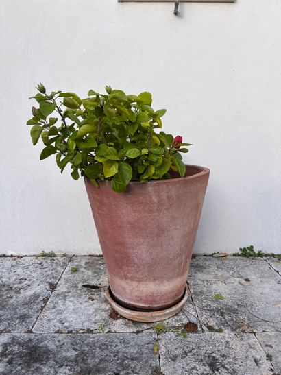 Pot en terre cuite et sa sous-coupe de marque...