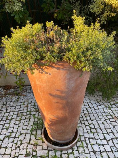 Terra cotta garden pot and its bottom, brand...