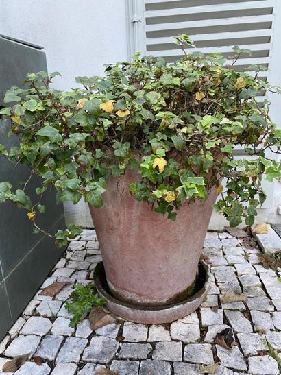 Set of three terracotta garden pots
With...