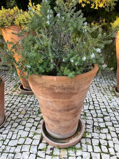 Terra cotta garden pot and its bottom, brand...