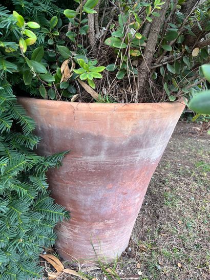 Pot de jardin en terre cuite 
Avec son arbre
H...