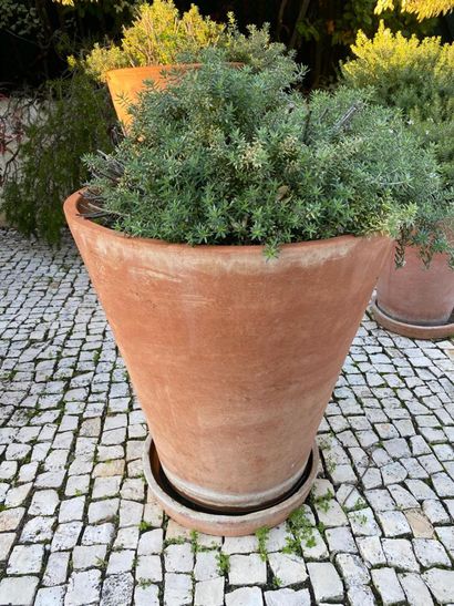Terracotta garden pot and its underside,...