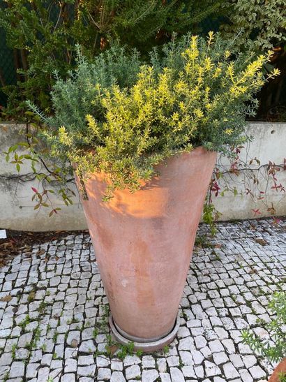 Terra cotta garden pot and its bottom, brand...