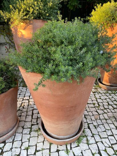Garden pot in terra cotta and its bottom,...