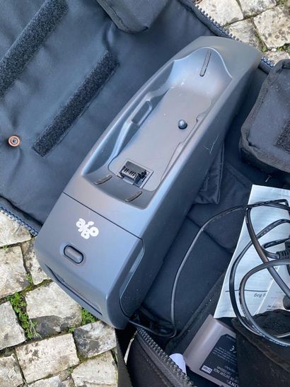 SONY robot dog in its bag, power cord provided...