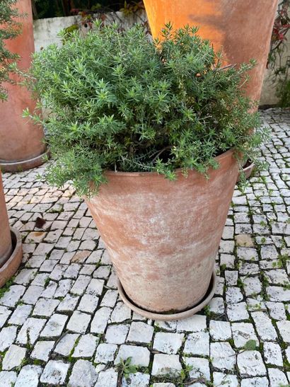 Terra cotta garden pot and its bottom, brand...
