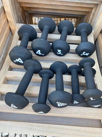 Lot of various dumbbells, some of which are...