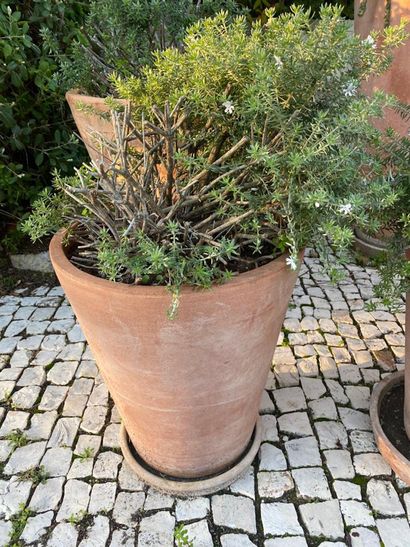 Terra cotta garden pot and its bottom, brand...