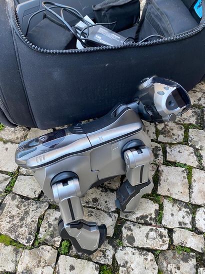 SONY robot dog in its bag, power cord provided...