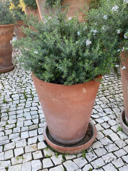 Terra cotta garden pot and its bottom, brand...