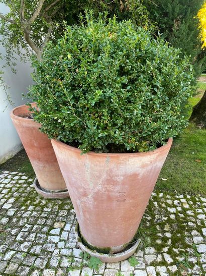 Garden pot in terra cotta and its bottom,...
