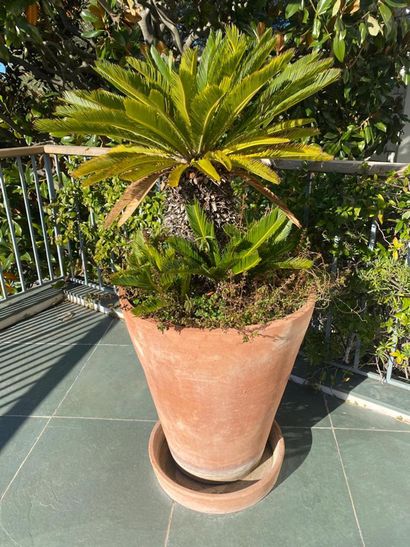 Garden pot in terra cotta and its bottom,...