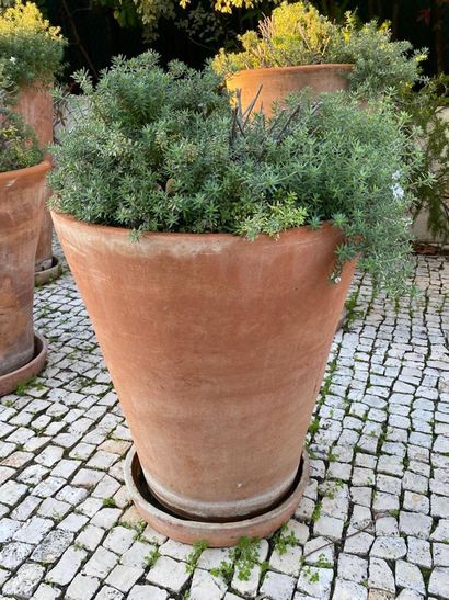Terra cotta garden pot and its bottom, brand...
