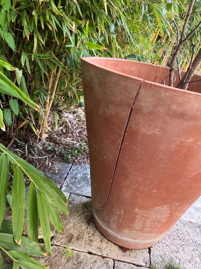 Pot en terre cuite 
Avec son arbre 
H : 70...