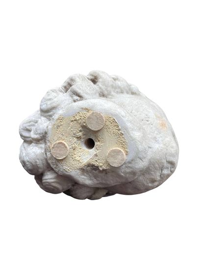 Tête en marbre ceinte d'une couronne de laurier,...