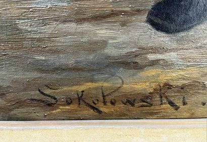 Zygmunt SOKOLOVSKI (1859-1888)
Le joueur...