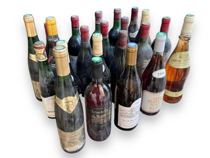 Lot of 22 bottles of various wines including...