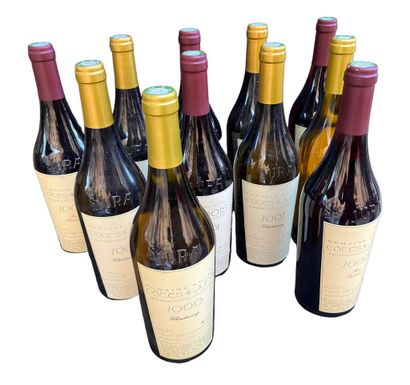 Lot of 11 bottles of Domaine Rolet red and...