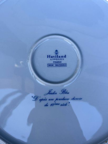 HAVILAND
41-piece 