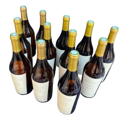 Lot of 12 bottles of Domaine Rolet white...