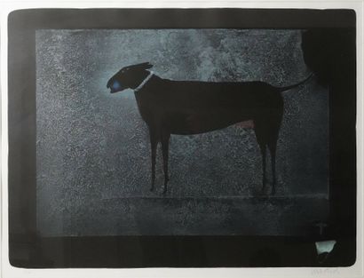 Paul WUNDERLICH (1927-2010) La Chienne Bella...