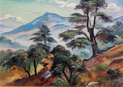 Roméo Charles AGLIETTI (1878-1956)

Paysage...