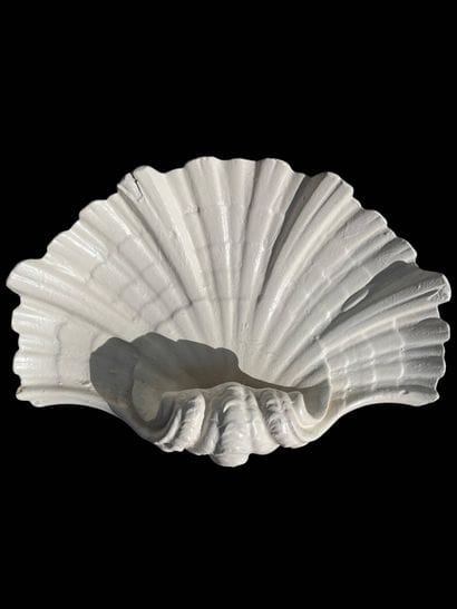 Large painted plaster shell-shaped wall sconce.
Work...