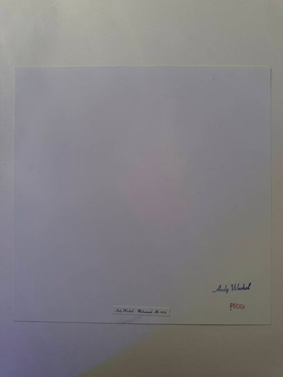 Andy WARHOL (1928-1987), after
Color print...