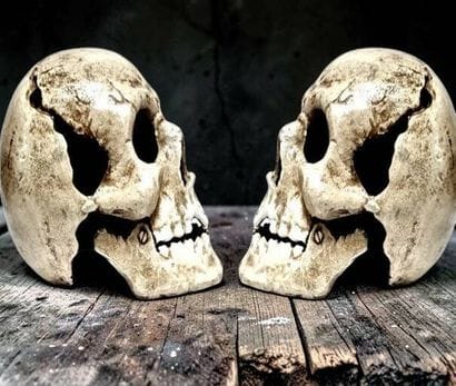 Pair of human skulls in cast iron with shaded...