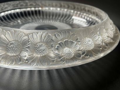 LALIQUE France 
Marguerites large bowl in...