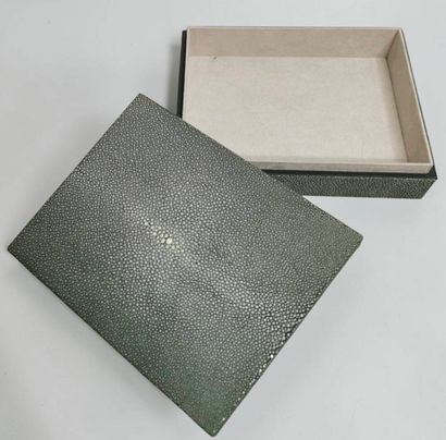 Rectangular box in green shagreen.
7 x 25.5...